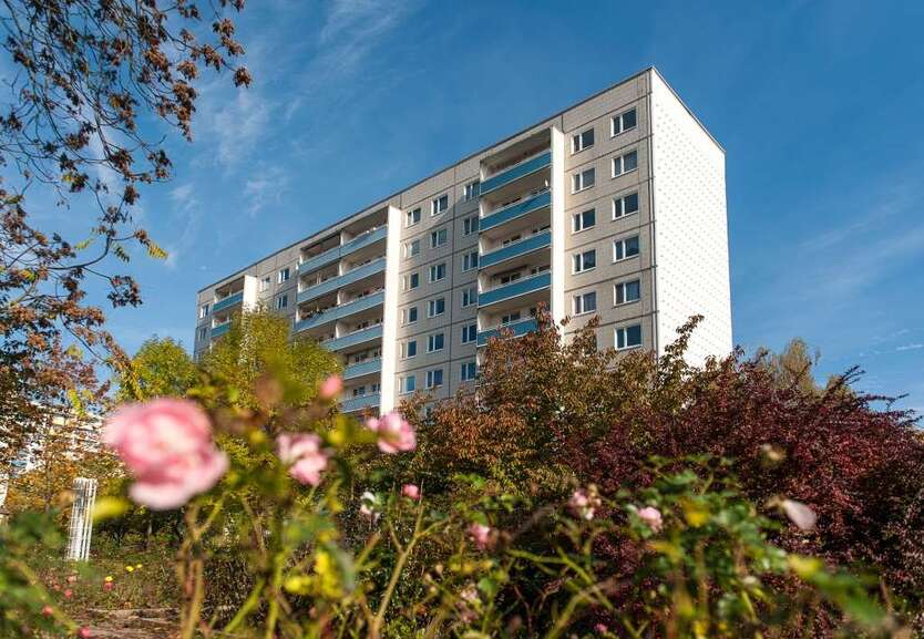 Wohnung zum Mieten in Halle (Saale) 320 € 54.5 m² 2 zimmer