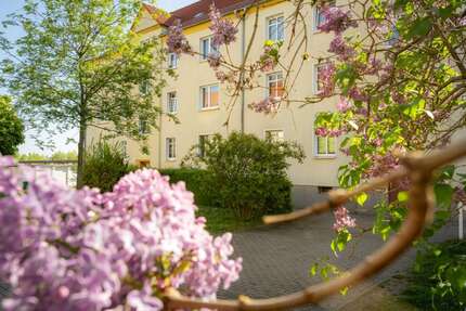 Wohnung Halle (Saale) Damaschkestraße - 2 Zimmer, 50 m&sup2;, 362&euro; | Angebot:26802811