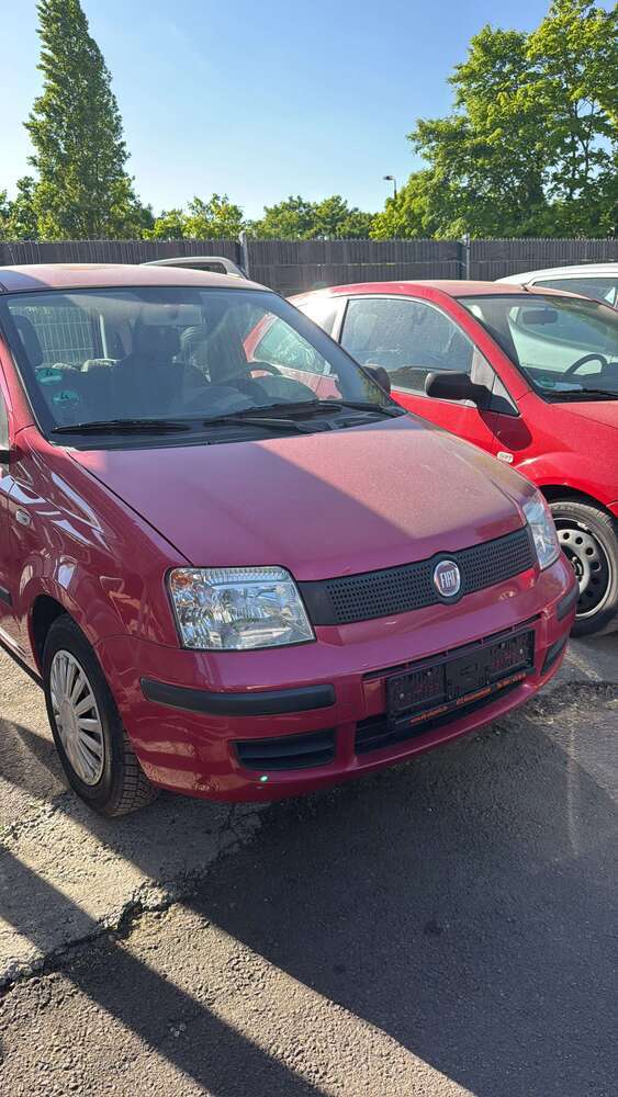Panda