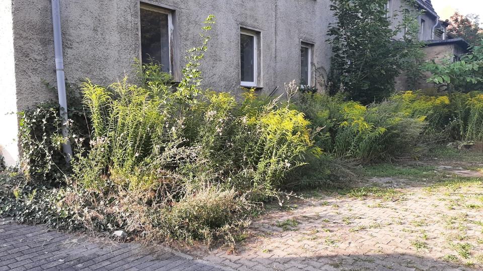 Mehrfamilienhaus, Wohnhaus Bad Lauchstädt - 93.000&euro; | Angebot:27155305