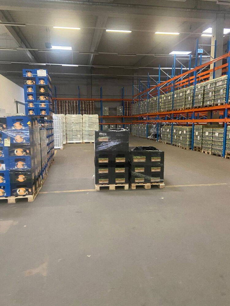 HALLE MIT KÜHLHALLE, HOCHREGALLAGER, BÜROS UND BESPRECHUNGSRAUM, TOP!