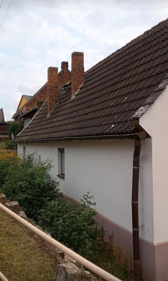 Handwerker Objekt am Teich in Plötzkau