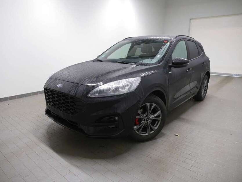 Kuga