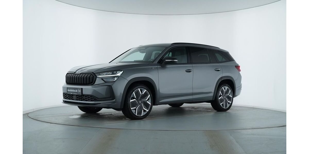 Skoda Kodiaq 24.425 km 46.989 &euro; Halle (Saale) 06126