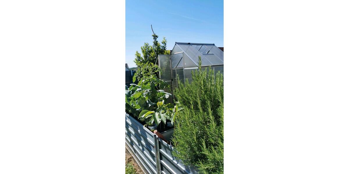 Einfamilienhaus Schkeuditz - 5 Zimmer, 145 m&sup2;, 550.000&euro; | Angebot:26741744