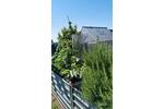 Einfamilienhaus Schkeuditz - 5 Zimmer, 145 m&sup2;, 550.000&euro; | Angebot:26741744