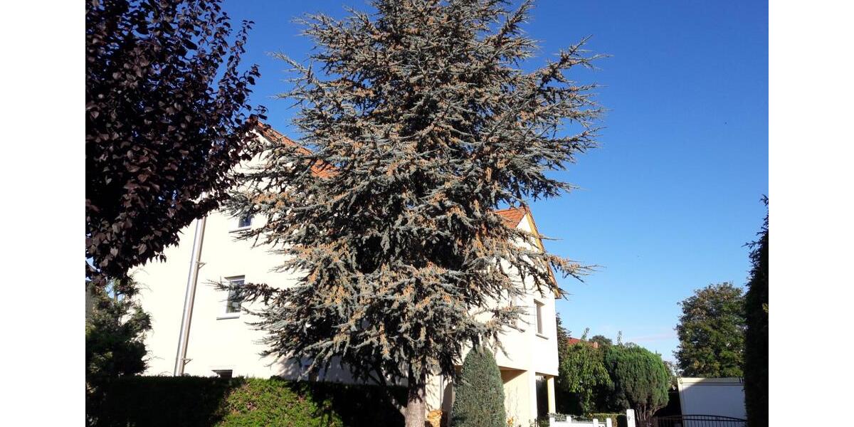 Doppelhaushälfte Schkopau - 445.000&euro; | Angebot:25218210