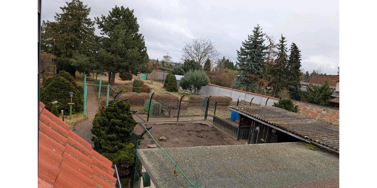 Einfamilienhaus Südliches Anhalt Pfaffendorf - 6 Zimmer, 116 m&sup2;, 112.000&euro; | Angebot:26700912