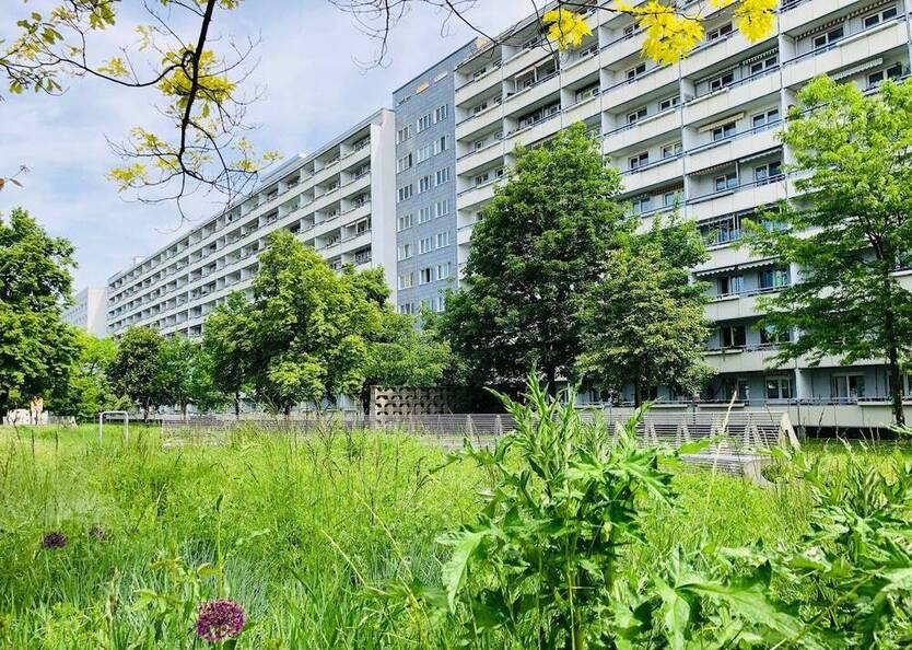 Vermietung leicht gemacht - Apartment in zentraler Lage !