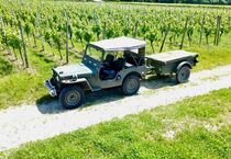 Willys
