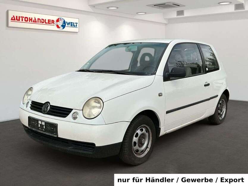 Lupo