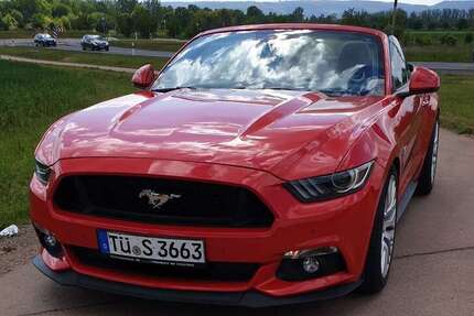 Ford Mustang 40.000 km 37.000 &euro; Petersberg 06193