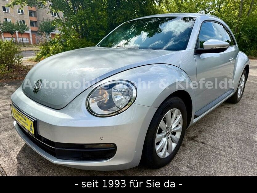 Beetle