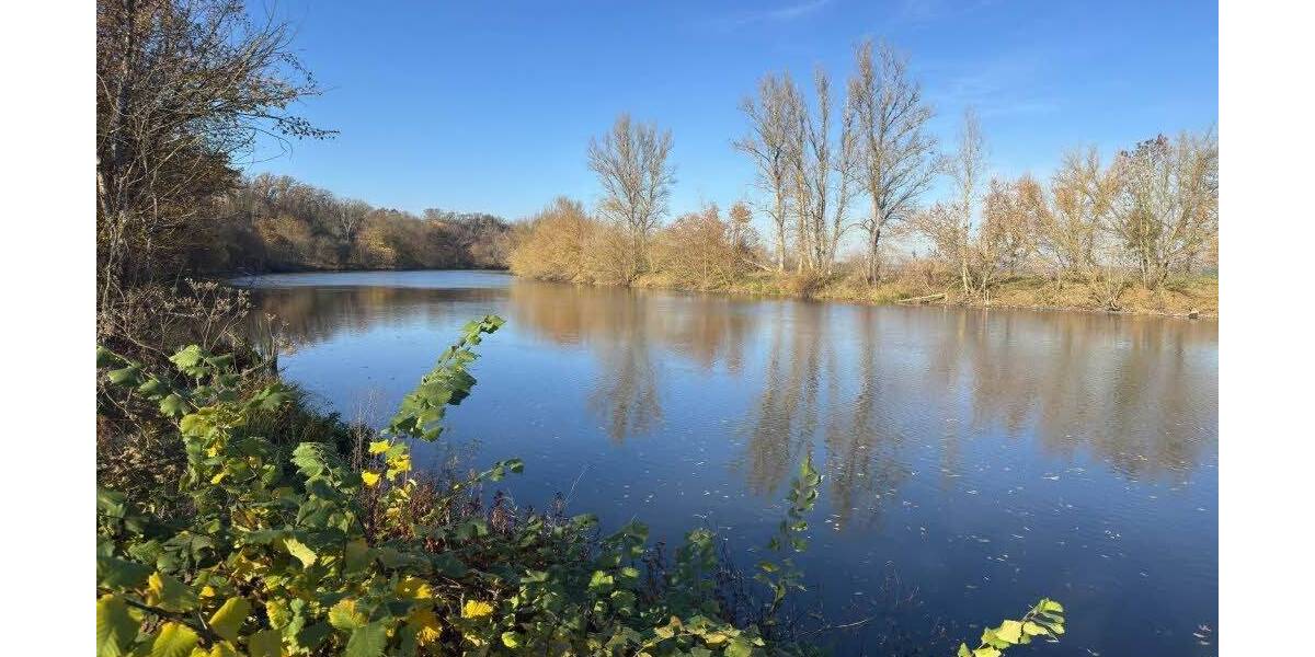 Mehrfamilienhaus, Wohnhaus Wettin-Löbejün Rothenburg - 1 Zimmer, 277 m&sup2;, 240.000&euro; | Angebot:23985865