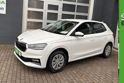 Skoda Fabia 1.165 km 18.900 &euro; Halle / Saale 06120