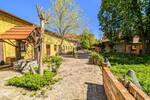 Mehrfamilienhaus, Wohnhaus Halle (Saale) Giebichenstein - 1 Zimmer, 174 m&sup2;, 1.100.000&euro; | Angebot:26616562