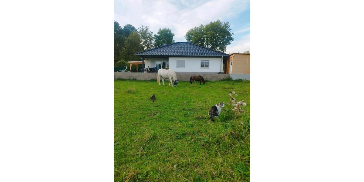 Bungalow Salzatal - 4 Zimmer, 112 m&sup2;, 320.000&euro; | Angebot:23712266