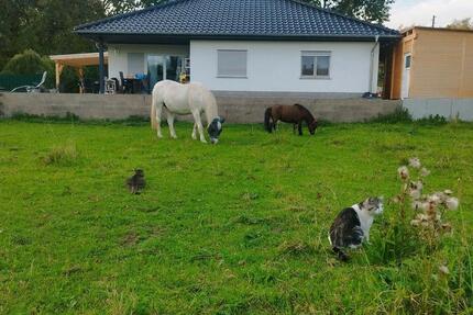 Haus Salzatal - 4 Zimmer, 112 m&sup2;, 320.000&euro; | Angebot:23712266