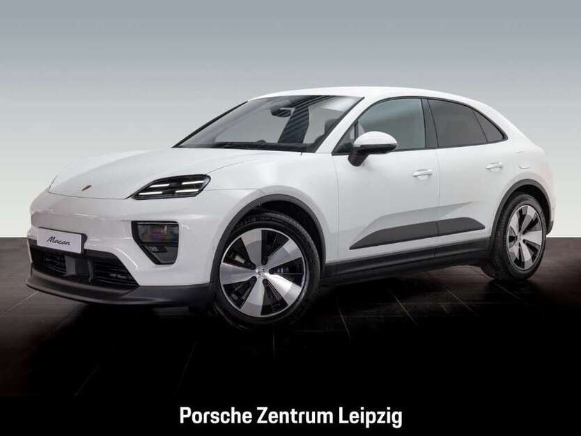 Macan