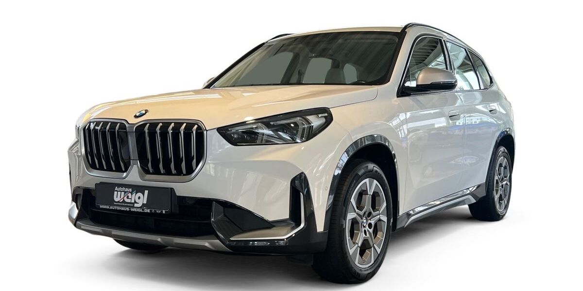 BMW X1 42.500 km 30.689 &euro; Merseburg 06217