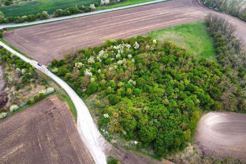 Grundstück zu verkaufen in Salzatal 9.000 € 12836 m²