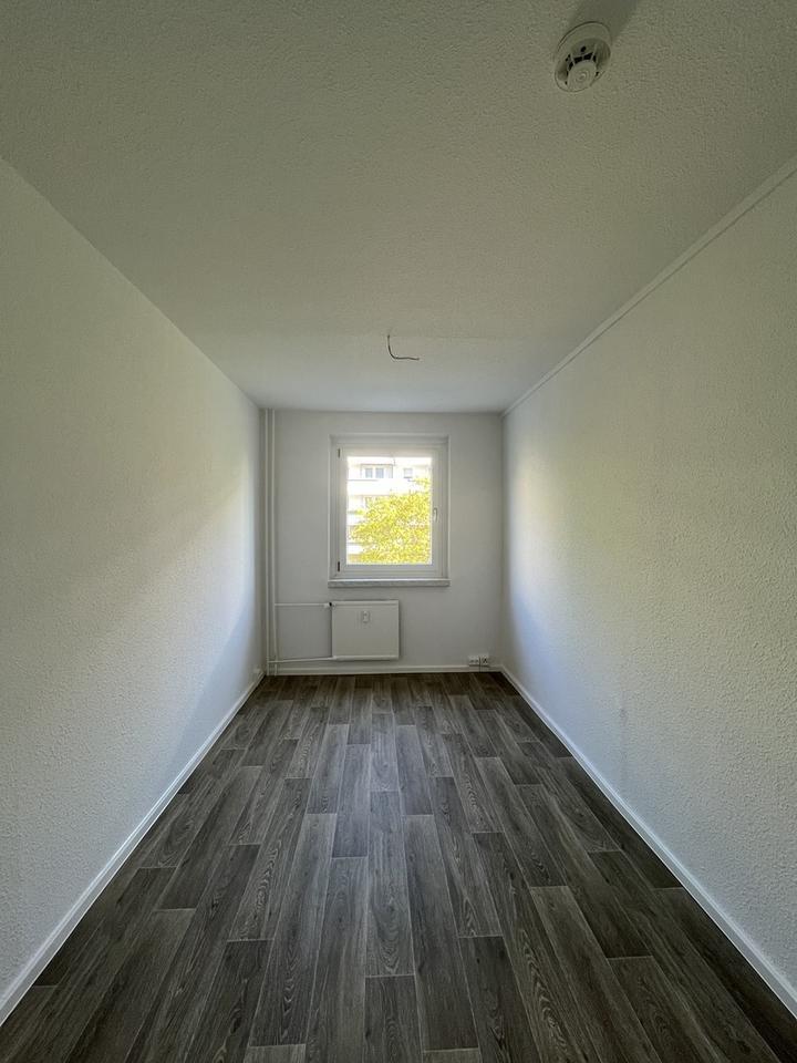 Ausblick in die Heide - ab Mitte März Ihre neue Wohnung zimmer