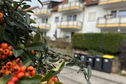 Wohnung Halle Südstadt - 4 Zimmer, 110 m&sup2;, 1.209&euro; | Angebot:27684179