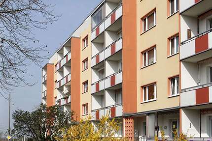 Wohnung Halle (Saale) Südstadt - 3 Zimmer, 61 m&sup2;, 365&euro; | Angebot:27443743