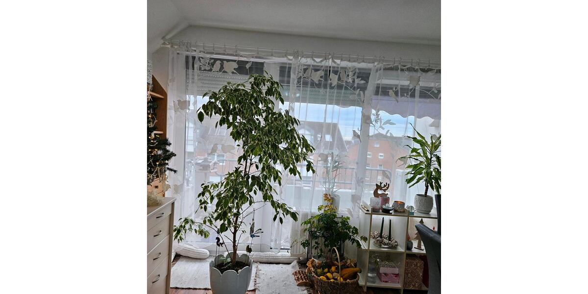 Dachgeschoßwohnung Schkeuditz - 1 Zimmer, 35 m&sup2;, 420&euro; | Angebot:24693831