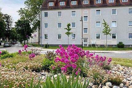 Wohnung Bad Dürrenberg - 3 Zimmer, 58 m&sup2;, 368&euro; | Angebot:26879008
