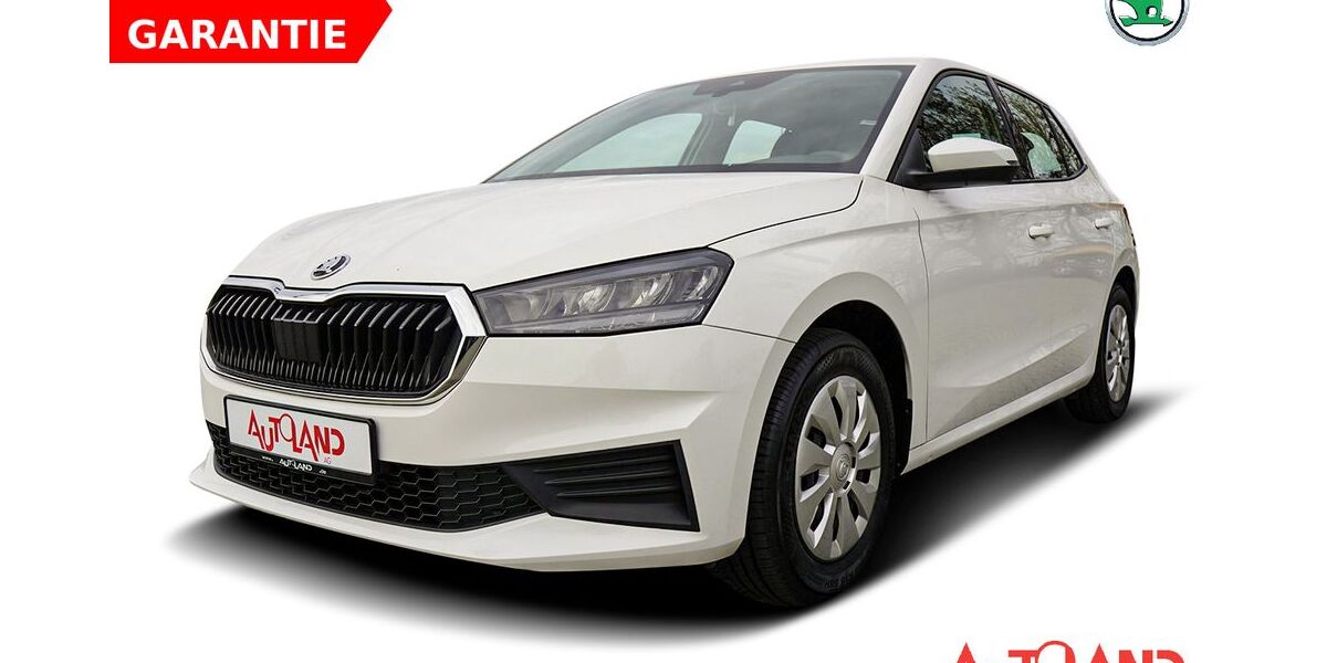 Skoda Fabia 26.485 km 17.490 &euro; Brehna 06796