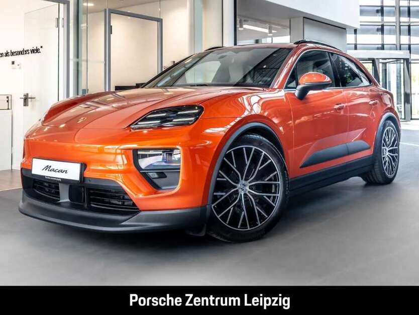 Macan