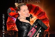 One Violine Orchestra
