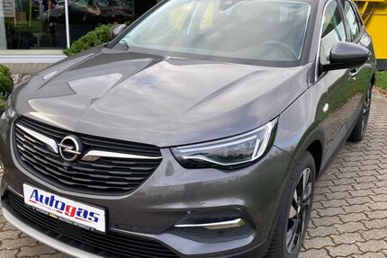 Opel Grandland (X) 39.500 km 25.600 &euro; Delitzsch OT Döbernitz 04509
