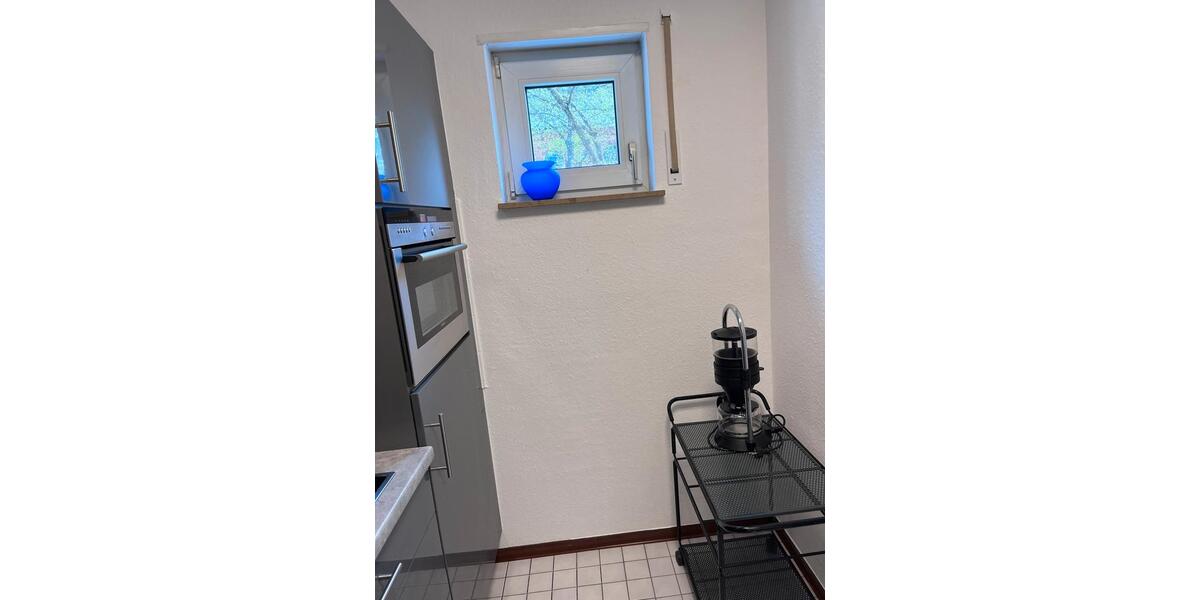 Etagenwohnung Halle (Saale) Damaschkestraße - 1 Zimmer, 44 m&sup2;, 790&euro; | Angebot:26368730