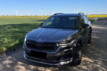 Skoda Kodiaq 49.600 km 36.600 &euro; Bad Lauchstädt 06246