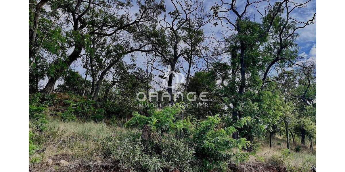 Grundstück Seeburg Seeburg - 265.000&euro; | Angebot:25676190