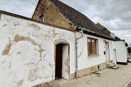 Haus zum Kaufen in Alsleben 50.000 € 100 m²