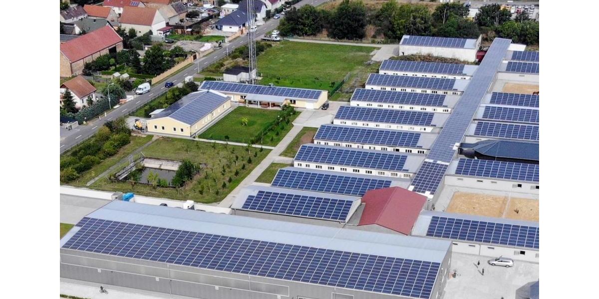 Gewerbeobjekt Delitzsch - 499&euro; | Angebot:25310467