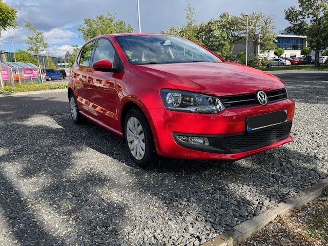 Polo