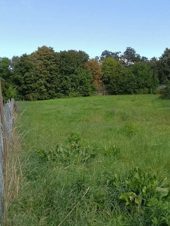 Baugrundstück für Mehrfamilienhäuser oder Eigenheime