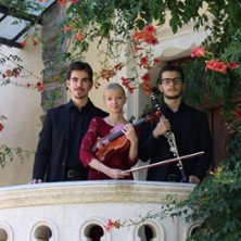 Aller Guten Dinge sind Drei - Konzert mit dem Trio Reinecke 05.10.2025 Grieg-Begegnungsstätte