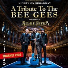 Nights on Broadway - A Tribute to the Bee Gees performed by Night Fever Leipzig