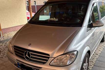 Mercedes Viano