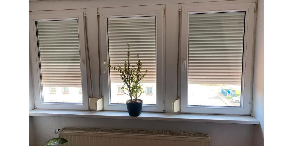 Dachgeschoßwohnung Delitzsch - 1 Zimmer, 51 m&sup2;, 650&euro; | Angebot:25355211