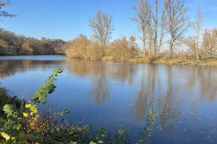 Nördlicher Saalekreis: Idyllisches Wohnen mit Platz für 2 Familien, Nebengelass & Pool 1 zimmer