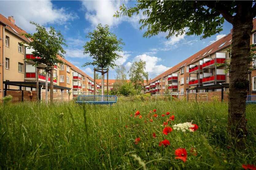 Wohnung zum Mieten in Halle (Saale) 423 € 65 m²