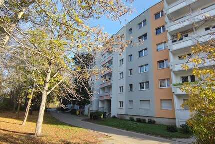 Wohnung Halle (Saale) Halle-Neustadt - 5 Zimmer, 101 m&sup2;, 555&euro; | Angebot:26396014