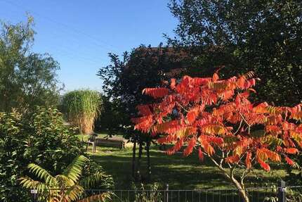 Grundstück Markranstädt - 240.000&euro; | Angebot:24566642