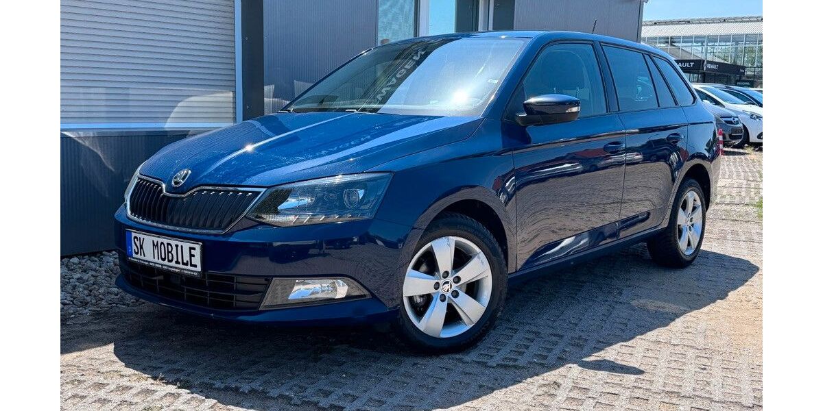 Skoda Fabia 248.999 km 4.499 &euro; Bitterfeld-Wolfen 06766